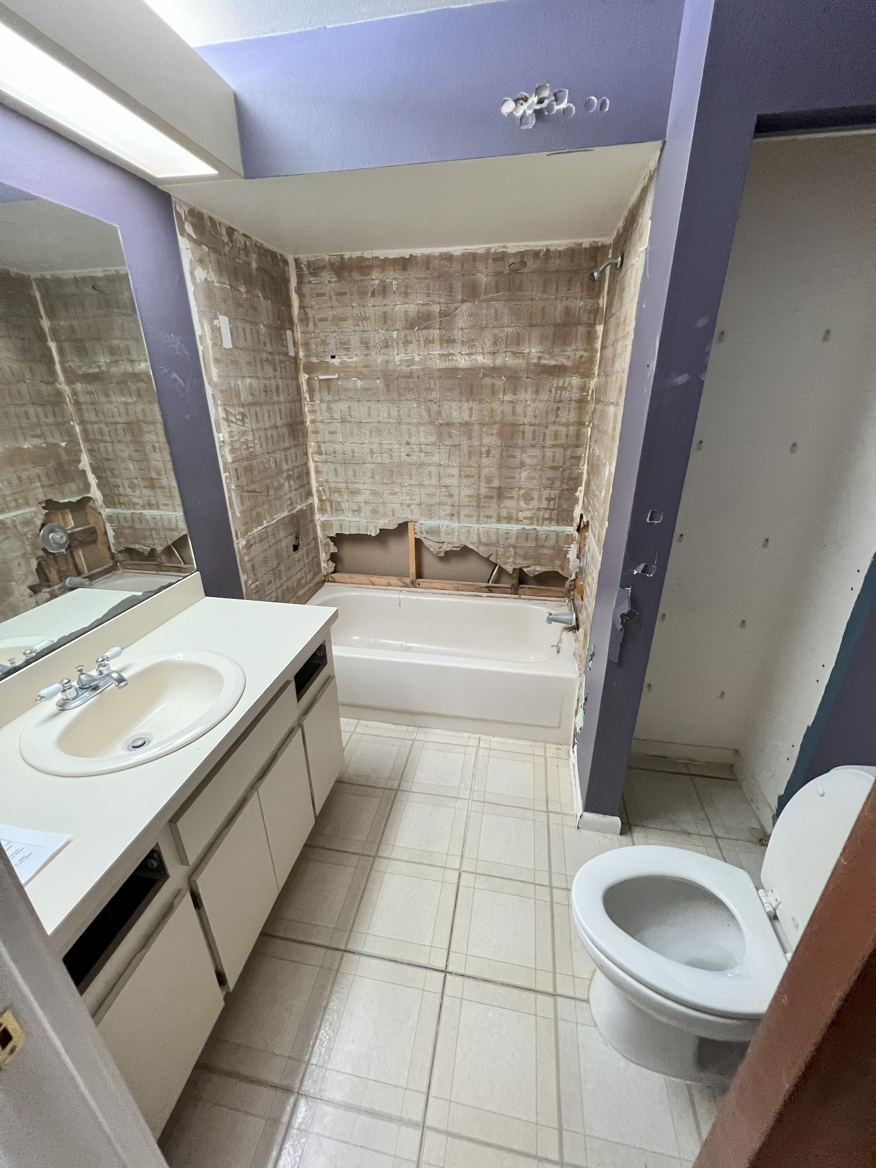 Bathroom Renovation 1