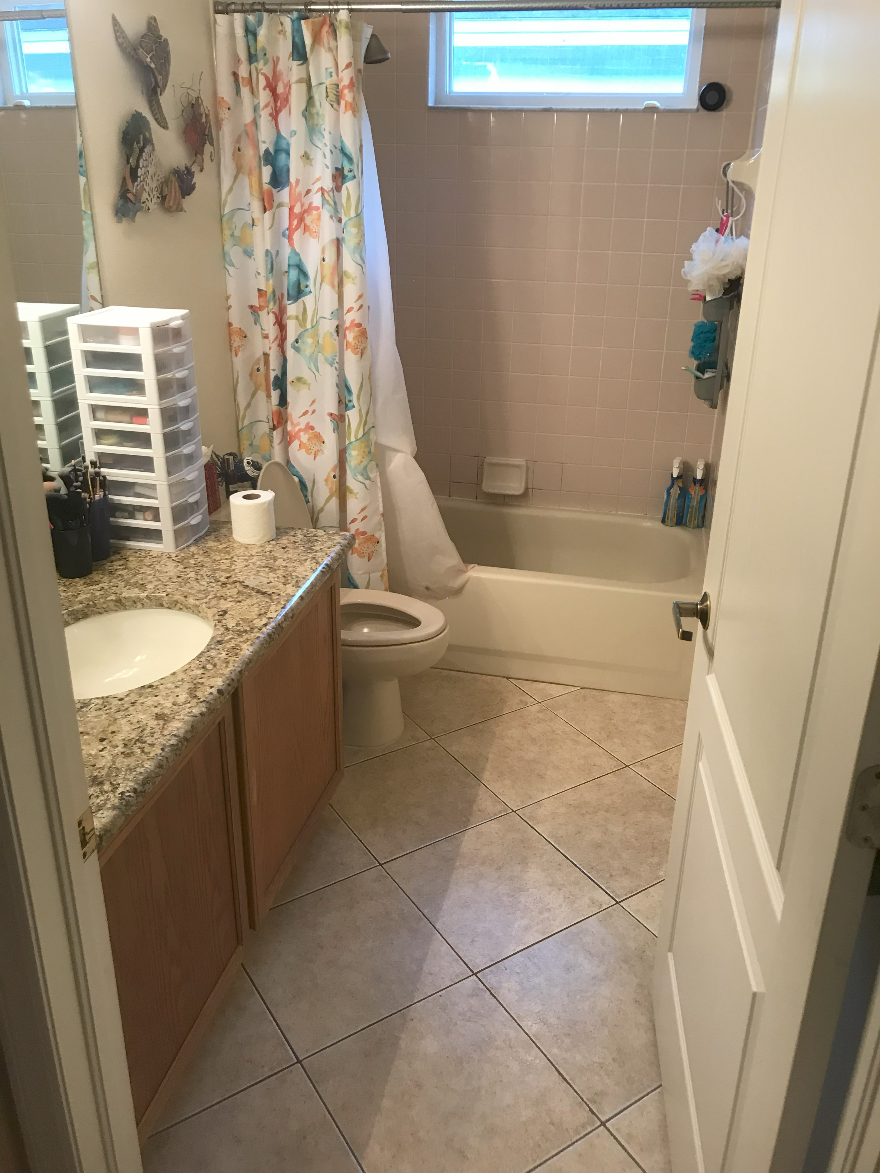 Bathroom Renovation 5